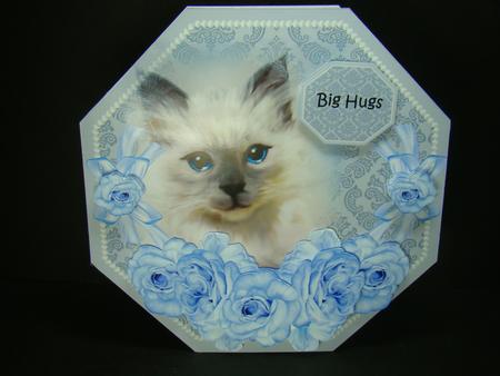 Octagon Little Pete by Beverly Carmichael