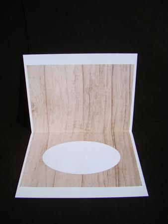Light Wood Insert 2 by Beverly Carmichael