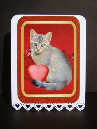 4 Purrfect Love Valentine's Day Toppers by Beverly Carmichael