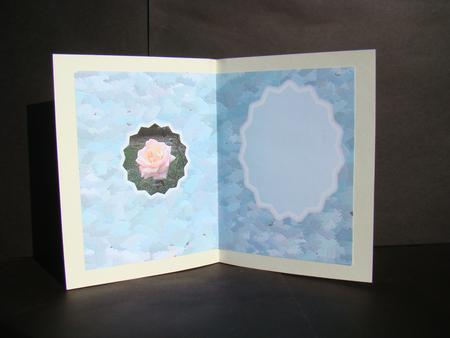 Rose on Blue Insert by Beverly Carmichael