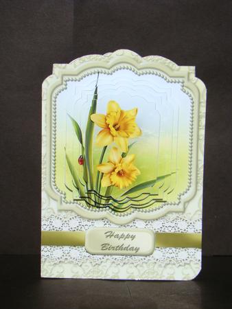 Daffodil Days Fancy Frame Mini Kit by Beverly Carmichael