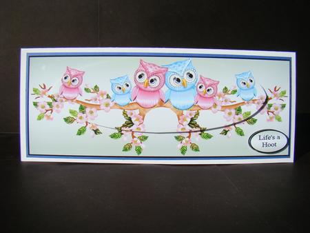 Lifes a Hoot by Beverly Carmichael
