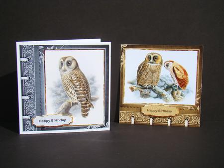 Owl Toppers and Sentiment Tags by Beverly Carmichael