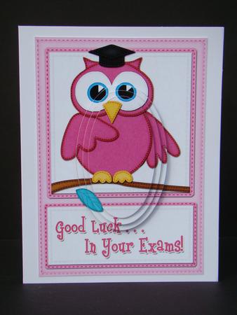 A5 Wise Owl Exam Good Luck Felties Oval Pyramage Topper by Beverly Carmichael