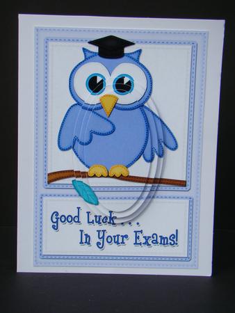A5 Wise Owl Exam Good Luck Felties Oval Pyramage Topper by Beverly Carmichael