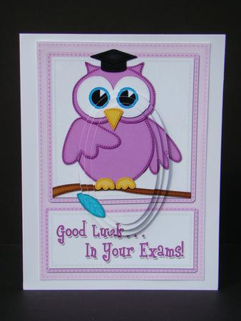 A5 Wise Owl Exam Good Luck Felties Oval Pyramage Topper by Beverly Carmichael