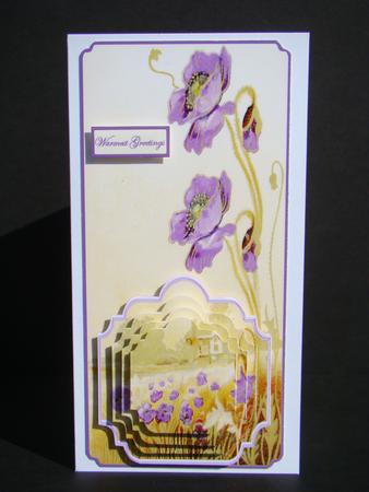 Wild Poppies Dl Card with Stacker Layers by Beverly Carmichael