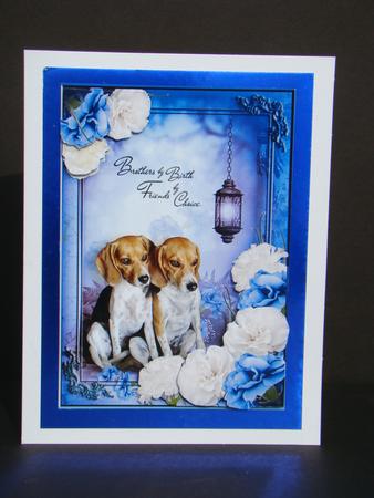 Brothers by Birth, Friends by Choice by Beverly Carmichael