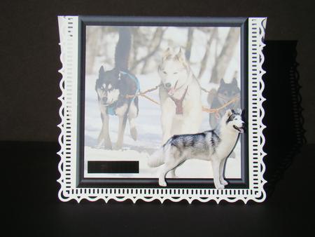 Huskies Out of the Frame by Beverly Carmichael