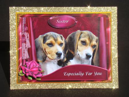 Puppy Rose Card Front by Beverly Carmichael