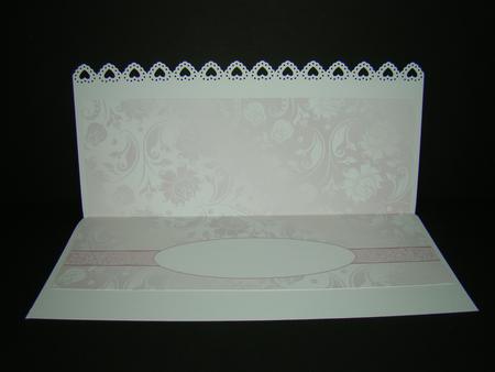 Ribbon Sash Baby Girl Dl Insert by Beverly Carmichael