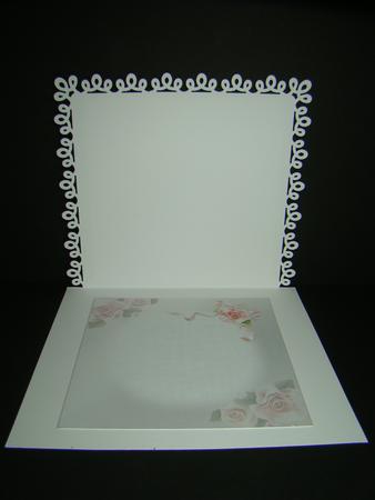 8x8 the Love Swans Wedding or Anniversary Insert Plate by Beverly Carmichael