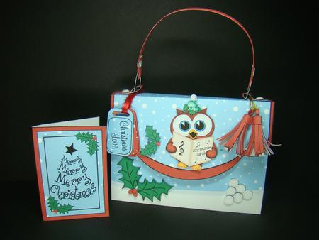 3D Little Hoot Owl Xmas Handbag Treat or Favour Box Kit by Beverly Carmichael