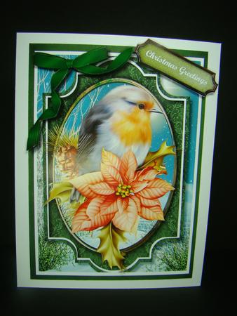 Stunning Robin and Poinsatia on a Holly Branch  by Beverly Carmichael