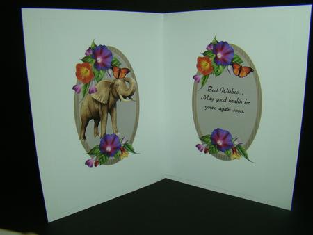 All Creatures Great and Small Get Well Insert by Beverly Carmichael