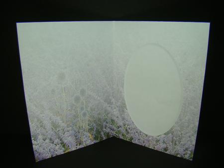 Lavender Insert Sheet by Beverly Carmichael