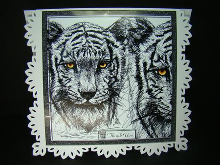 Tiger Tiger by Beverly Carmichael