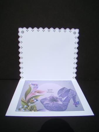 Mauve Lace Shoes Insert by Beverly Carmichael