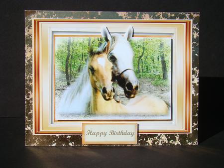 A5 Stunning Horses at the Fence  by Beverly Carmichael