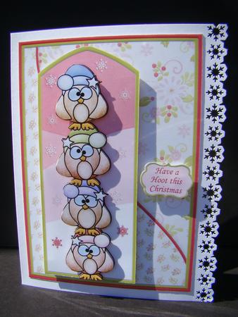 Christmas Hoot A5 with Concertina Insert Mini Kit by Beverly Carmichael
