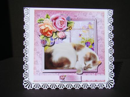 A Purrfect Birthday Cat Card Kit by Beverly Carmichael