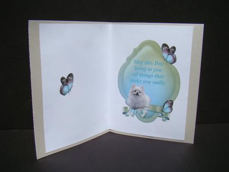 Pomeranian Insert and Verse by Beverly Carmichael