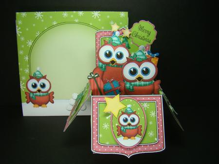 3D Xmas Hoot & Little Hoot Owls Rubber Band Pop Up Box Card by Beverly Carmichael