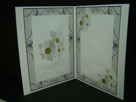 Daisies A5 Insert by Beverly Carmichael