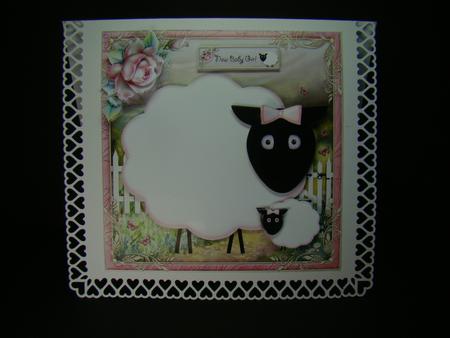 Sherbet the Sheep by Beverly Carmichael