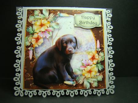 Gorgeous Chocolate Labrador Puppy 8x8 by Beverly Carmichael