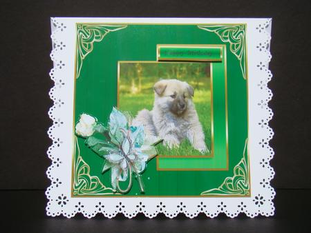 Little Pup by Beverly Carmichael
