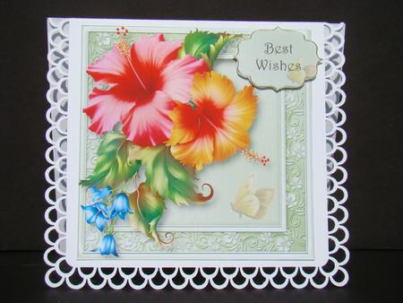 Beautiful Hibiscus in Pink & Peach 8x8 Quick Topper by Beverly Carmichael