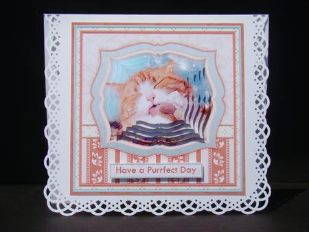 Have a Nice Day Cat & Ice Cream 6x6 Card Front & Pyramage by Beverly Carmichael