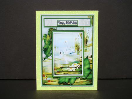 Peaceful Swans Female Card by Beverly Carmichael