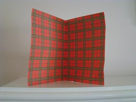 Red Tartan Background by Beverly Carmichael