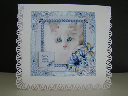 Little Luna by Beverly Carmichael