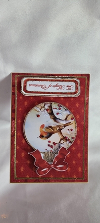 Red Robin Magic 5.5inch Bauble Decoupage Card by Beverly Johnston