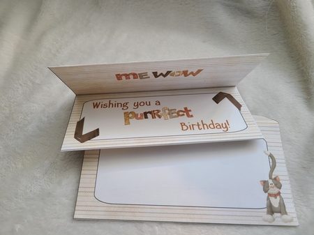 Cats Whiskers DL Multi Occasion Mini Kit by Beverly Johnston