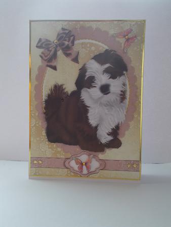 Fluffy Shitzu Puppy by Beverly Smith