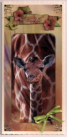 Mother and Baby Giraffe, Dl Card Front and Back by Bodil Lundahl