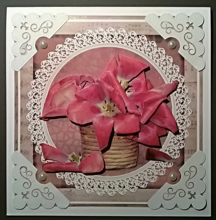 Pink Tulips in lace frame by Bodil Lundahl