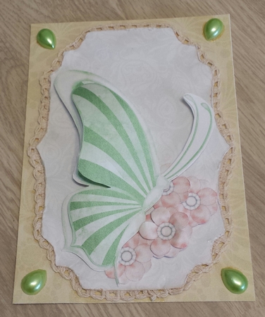 Peachy Keen - Color Palette Stripe Wing Butterfly Graphics by Brenda L Carmichael