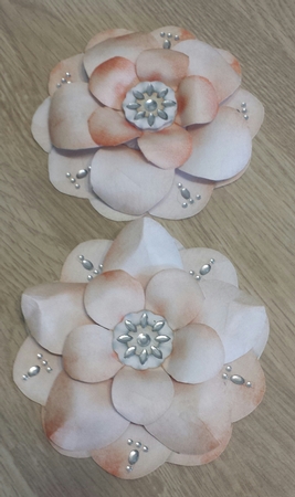 Peachy Keen - Color Palette Cute Flowers by Brenda L Carmichael