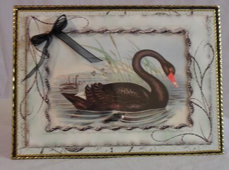 Vintage Birds 1, Black Swan by Brenda Needham