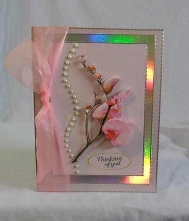 Singapore Orchids and Pearls Girls Just Wanna Have Fun by Brenda Needham