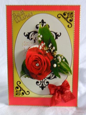 Red Red Rose Multi Sentiment by Brenda Needham