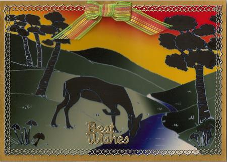 Deer in the Hills by Brenda Needham