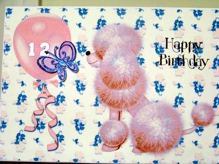 Apricot Teen Birthday Poodle by Brenda Sadler
