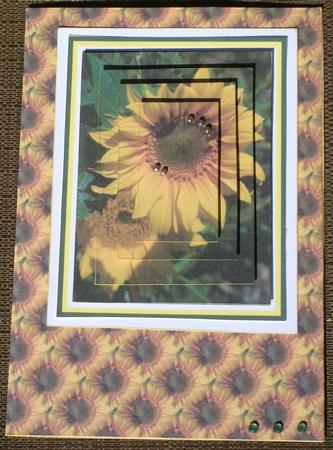 Bright Sunflower Pyramid with Backing Paper by Brenda Schetnan