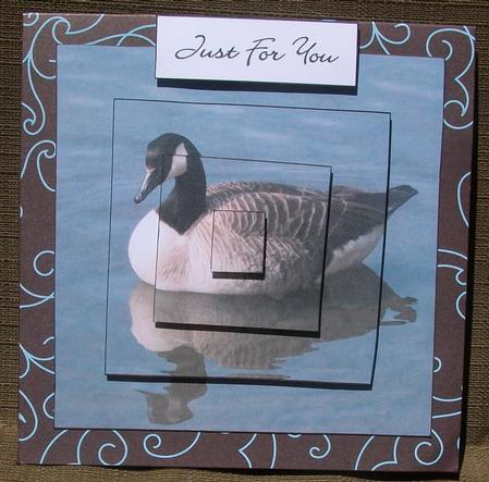 Goose Pyramid 1 Featured Gallery Photo